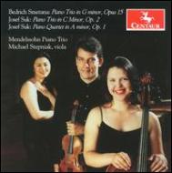 UPC 0044747286822 スーク 1874-1935 / Piano Quartet, Piano Trio: Mendelssohn Piano Trio Stepniak Va +smetana: Piano Trio 輸入盤 CD・DVD 画像