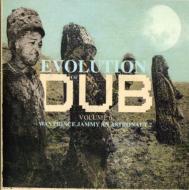 UPC 0054645520423 PRINCE JAMMY プリンス・ジャミー EVOLUTION OF DUB VOL.6 CD CD・DVD 画像