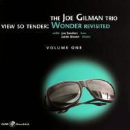 UPC 0054987407628 Joe Gilman / View So Tender: Wonder Revisited: Vol.1 輸入盤 CD・DVD 画像