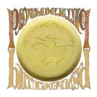 UPC 0075993997248 Neil Young ニールヤング / Psychedelic Pill ブルーレイオーディオ CD・DVD 画像