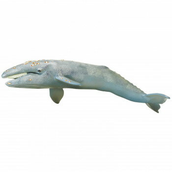 UPC 0095866021207 サファリ レプリカ コククジラ(親) ホビー 画像