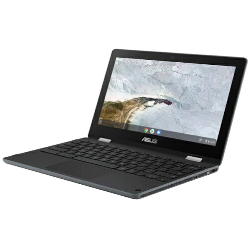 UPC 0192876790151 ASUS TeK Chromebook C214MA-GA0029 パソコン・周辺機器 画像