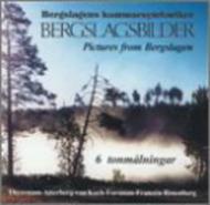 EAN 0330560001606 Pictures From Bergslagen Thyrestam, Atterberg, Forsman, Rosenberg, Etc CD・DVD 画像
