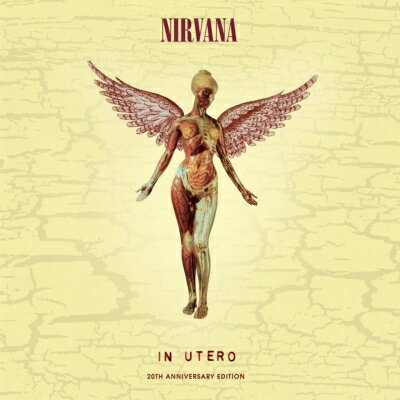 UPC 0600753453049 Nirvana ニルバーナ / In Utero CD・DVD 画像