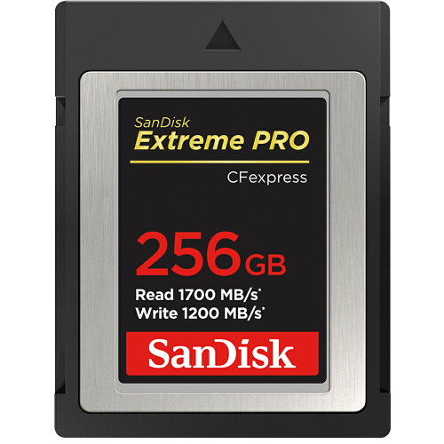 UPC 0619659167059 SanDisk 256GB CFexpress Type B カード Extreme PRO SDCFE-256G-GN4IN TV・オーディオ・カメラ 画像