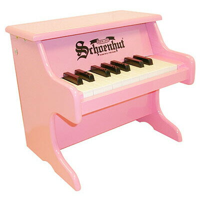 UPC 0652730182091 1822P シェーンハット トイピアノ ピンク 18-Key Pink 