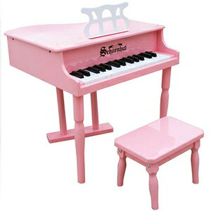 UPC 0652730309078  309P シェーンハット トイピアノ ピンク 30-Key Pink 