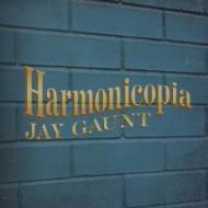 UPC 0700261307008 Harmonicopia / Jbg Music Llc / Jay Gaunt CD・DVD 画像