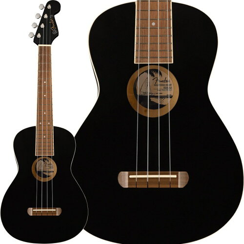 UPC 0717669535209 Fender Acoustics フェンダー・アコースティックス アコースティックギター Avalon Tenor Ukulele Black 楽器・音響機器 画像