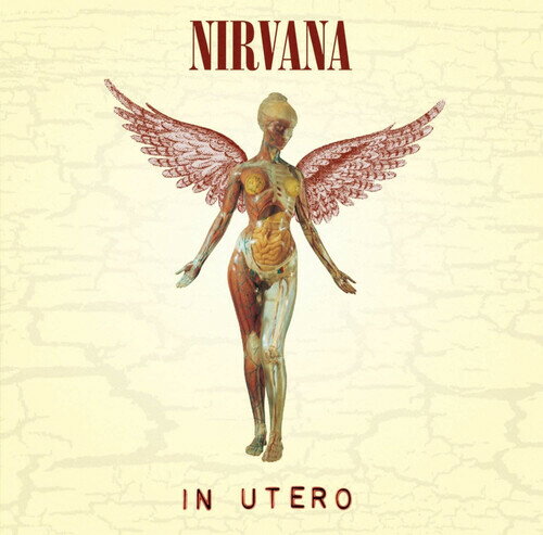 UPC 0720642453612 Nirvana ニルバーナ / In Utero CD・DVD 画像
