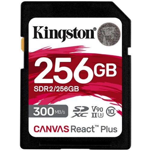 UPC 0740617301977 Kingston SDXCカード 256GB SDR2 TV・オーディオ・カメラ 画像