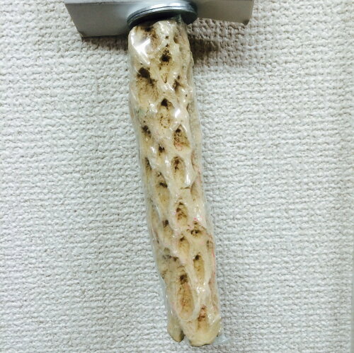 UPC 0753323503733 Pollys Pet Products Manu Mineral Bird Perch Size Small 6in ペット・ペットグッズ 画像