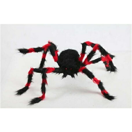 UPC 0762543051108 Red/Black Spider-S ホビー 画像
