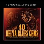 UPC 0805520091343 40 Delta Blues Gems 輸入盤 CD・DVD 画像