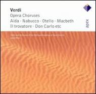 UPC 0809274083623 Verdi ベルディ / Opera Choruses: Rizzi / St.cecilia Accademia.o & Cho 輸入盤 CD・DVD 画像