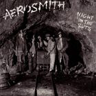 UPC 0886972412429 AEROSMITH エアロスミス NIGHT IN THE RUTS CD CD・DVD 画像