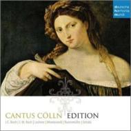 UPC 0886979370623 Cantus Colln / Cantus Colln-Edition (輸入盤) CD・DVD 画像