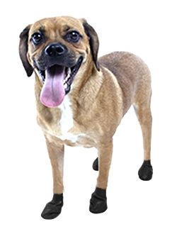 UPC 0897515001178 ポウズ PAWZ 正規輸入品 アメリカ Pawz Dog Boots社製 ラバー・ドッグ・ブーツ SMALL ブラック PZ2BLK 4926bt ペット・ペットグッズ 画像